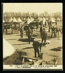 Horse lines at Broadmeadows Military Camp. Pictures Collection, State Library of Victoria.